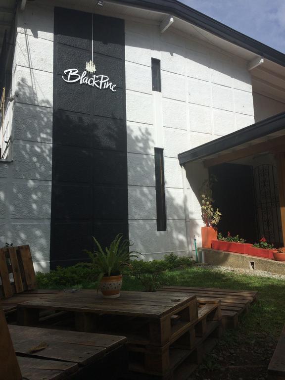 Blackpine Hostel Medellin Exterior photo