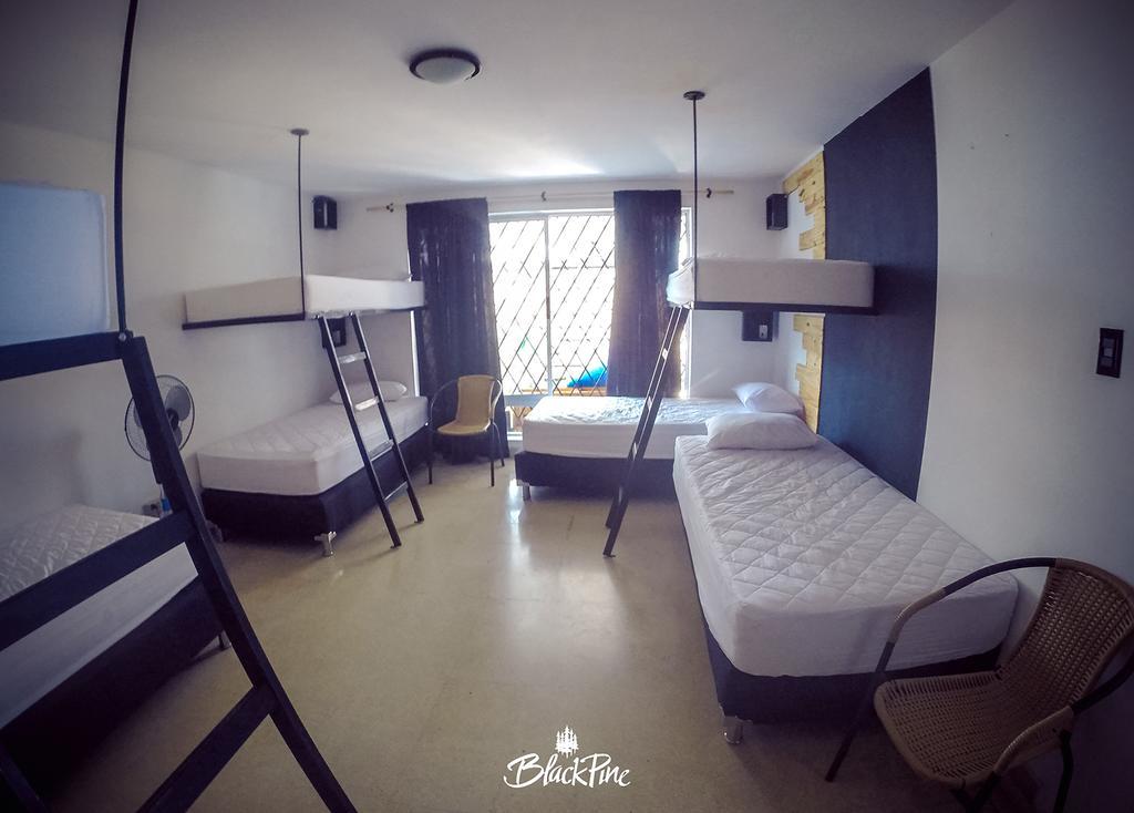 Blackpine Hostel Medellin Exterior photo