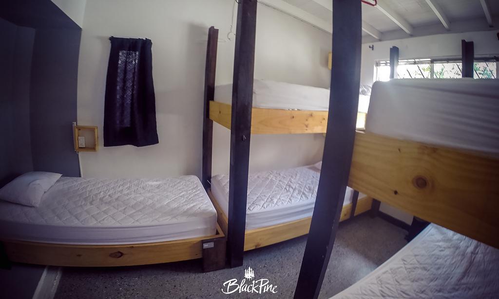 Blackpine Hostel Medellin Exterior photo