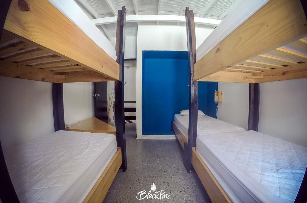 Blackpine Hostel Medellin Exterior photo